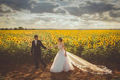 wedding couple in a sunflower feild