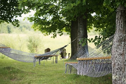 hammocks in backyard