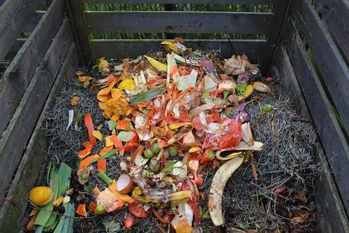 Green waste in compost bin