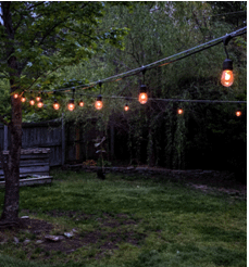 String lights over a yard