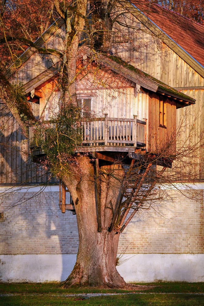Log cabin treehouse