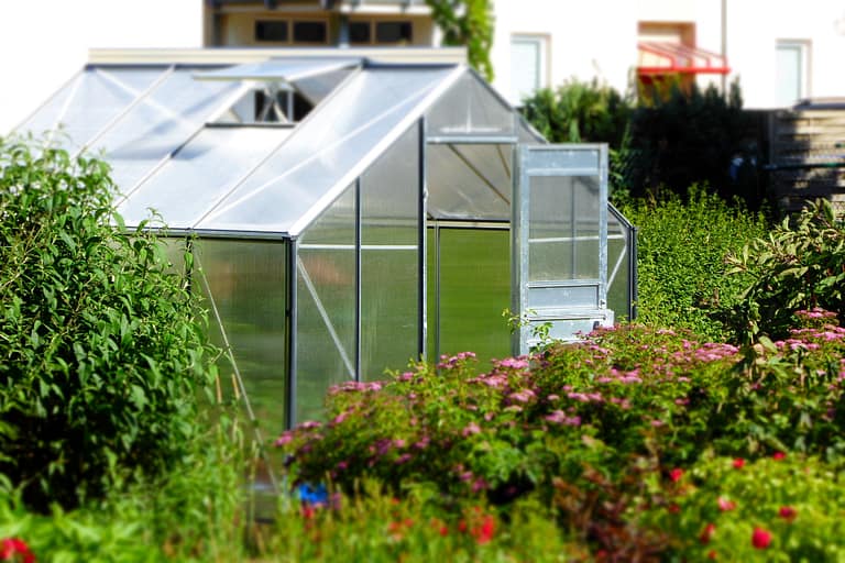 Greenhouse in a field