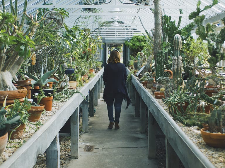 Woman in a cactus greenhouse