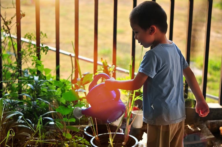 Kid watering a plant
