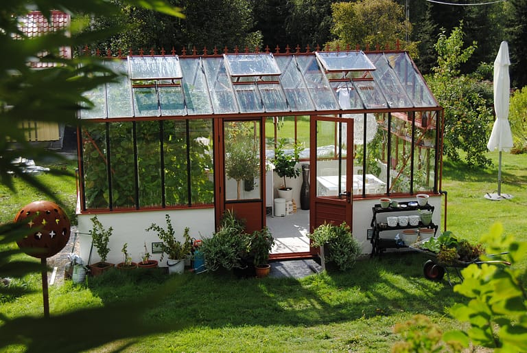 Greenhouse in backyard