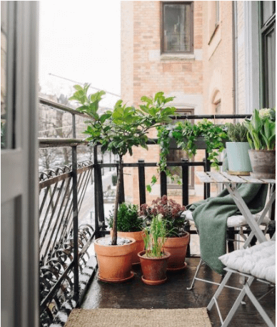 Flower pots on balcony